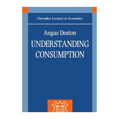 现货 英文原版 Understanding Consumption 理解消费