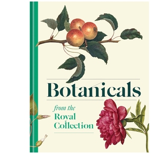 植物志 Botanicals 预售 英文原版