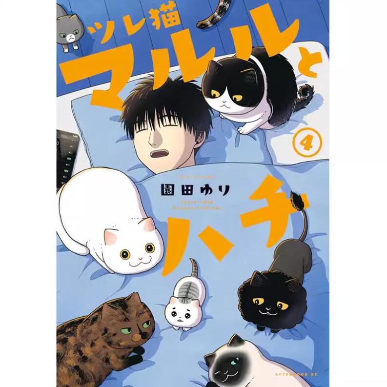 猫咪好伙伴小圆圆和小八4