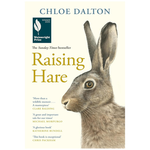 预售 英文原版 养野兔 Raising Hare