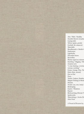 现货【外图英文原版】英文艺术摄影 Alec Soth 一磅照片A Pound of Pictures