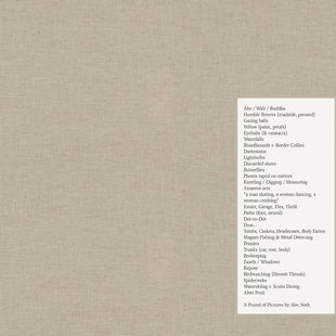 Alec Soth 一磅照片A 现货 英文艺术摄影 Pound Pictures 外图英文原版