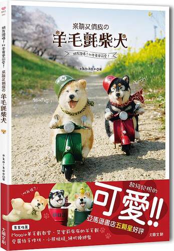 呆萌又俏皮の羊毛毡柴犬