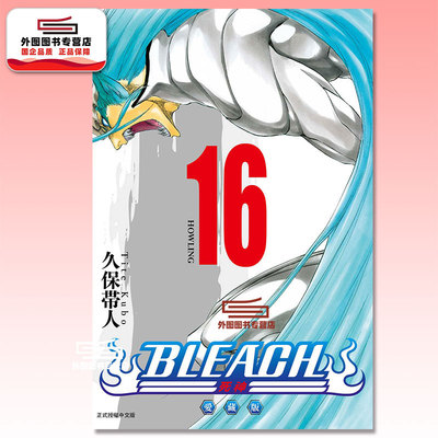 BLEACH死神爱藏版16/东立