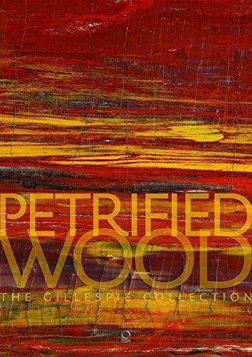 预售【外图英文原版】buried treasure / 被埋藏的宝藏:葛拉斯彼收藏