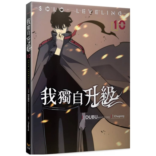 我独自升级10/知翎文化