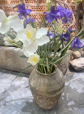 绢布婚庆爱丽丝鸢尾花爱丽丝