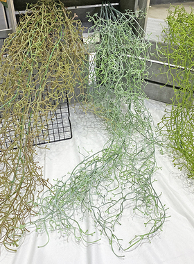 仿真垂挂蕨草凤尾蕨挂藤塑料蕨类植物墙面装饰造景绿植吊藤波斯