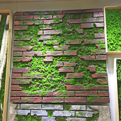 立体泡沫植物橱窗造景墙面装饰