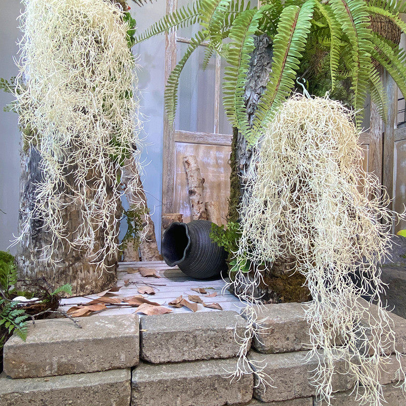 仿真植物空气草藤条凤梨老人须松萝铁兰垂吊造景绿植壁挂吊兰配草