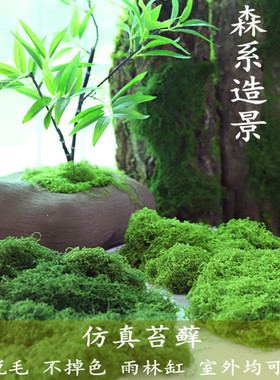 造景青苔毛线丝青苔塑料