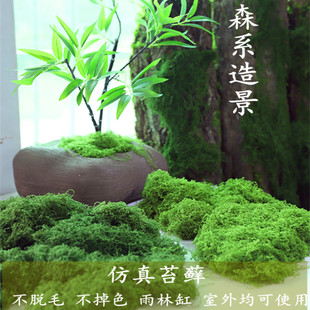 仿真苔藓草皮假青苔丝森系造景雨林缸地面室外假山石盆景盆栽铺面