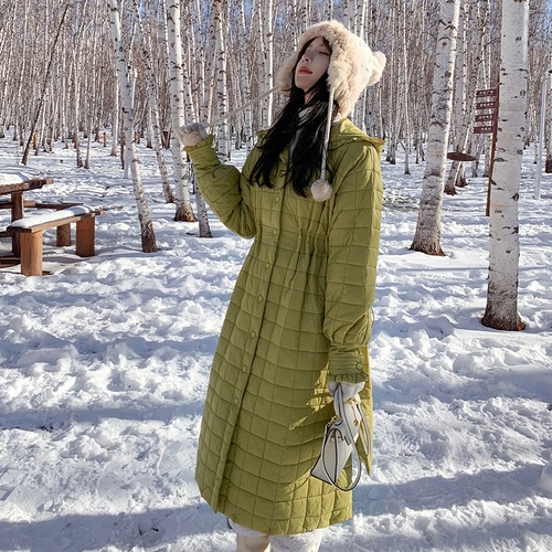 浙宝116 ZB116M8021