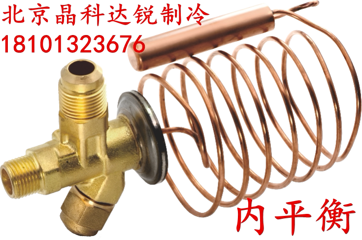 Hongsen Thermal Expansion Valve TH404 TH404W Replace Danfoss Expansion Valve TS2 TES2 Refrigeration Storage