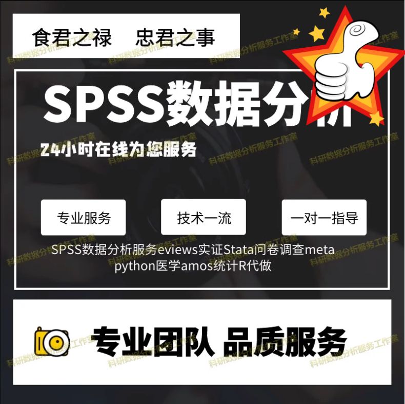 SPSS数据代分析服务amos调查问卷eviews实证stata统计meta医学R做