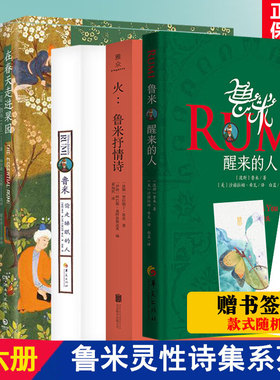 鲁米灵性诗集全6册 醒来的人+在春天走进果园+偷走睡眠的人+火+万物生而有翼+让我们来谈谈我们的灵魂苏菲派 外国小说诗歌D
