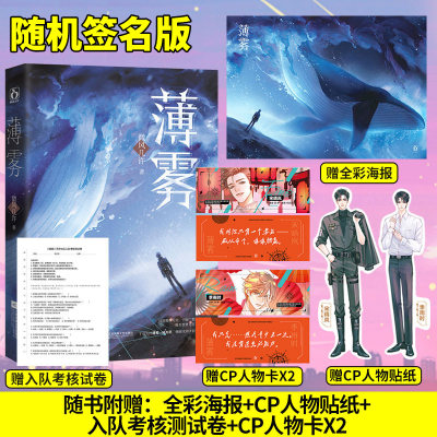 赠海报+入队测试卷+人物卡x2+人物贴纸】薄雾微风几许作品花火双男主兄弟情穿梭时空无限流小说宋晴岚×季雨时青春言情D