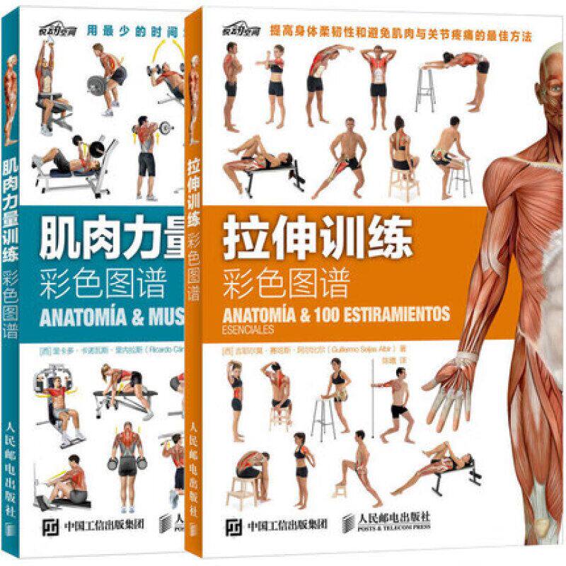 肌肉力量训练+拉伸训练彩色图谱共2本运动健身肌肉拉伸书籍囚徒健身科学运动健美增肌无器械健身教练