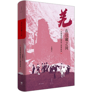 正版 羌在汉藏之间:川西羌族的历史人类学研究 王明珂 著 上海人民出版社L