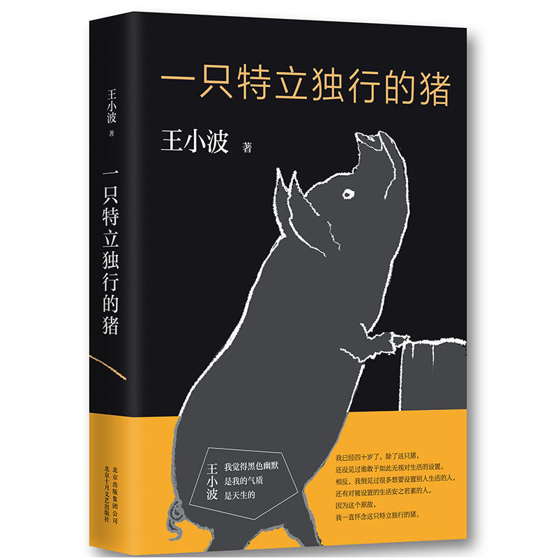 現貨正版 一只特立獨行的豬 王小波雜文精選集 逝世二十周年精裝紀念版 現當代文學散文隨筆讀物雜文集D