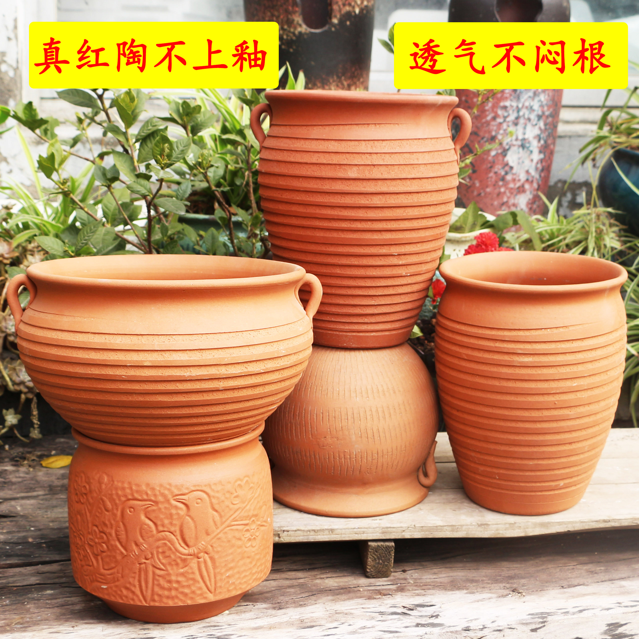 清仓红陶多肉大花盆特大号粗陶简约陶土陶瓷绿植盆透气盆特价包邮