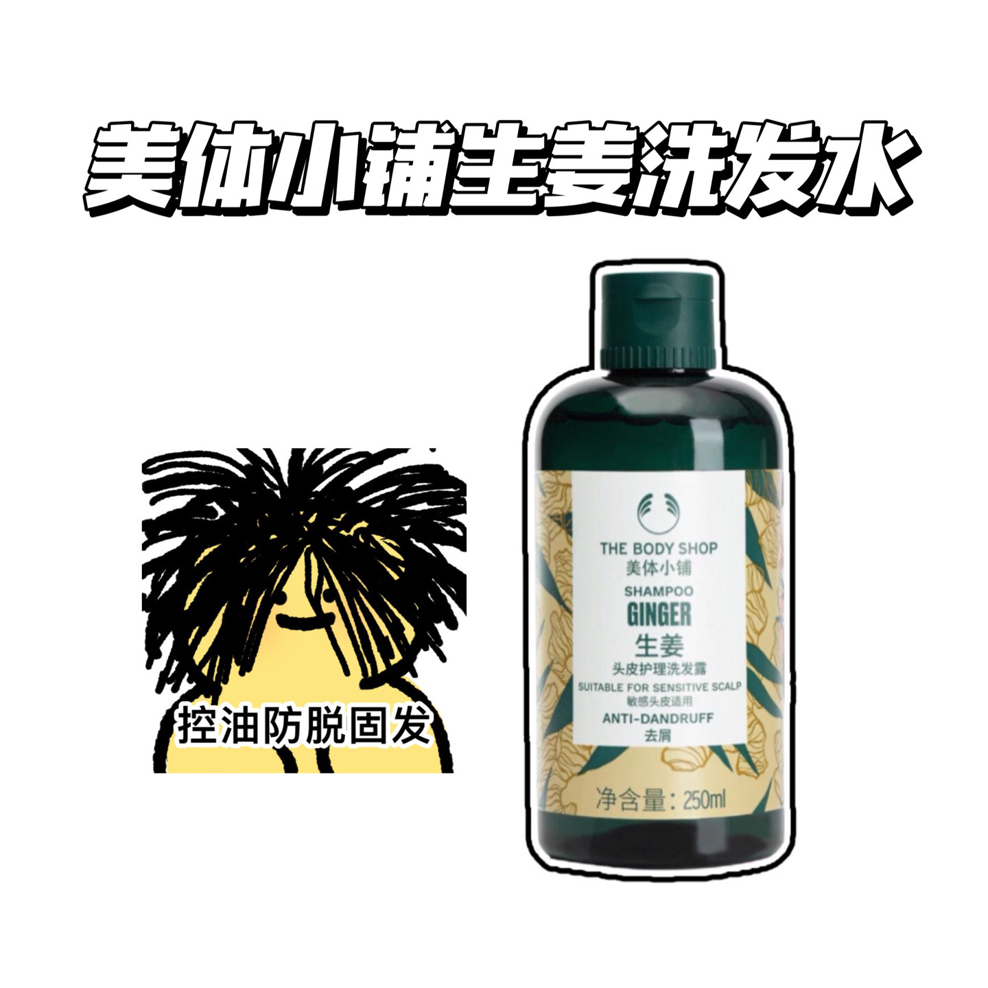 最后一批！美体小铺生姜洗发水