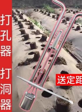 种瓜打孔器定距尺穴盘育苗杯不锈钢打洞取土破地膜脚蹬双杆破地膜