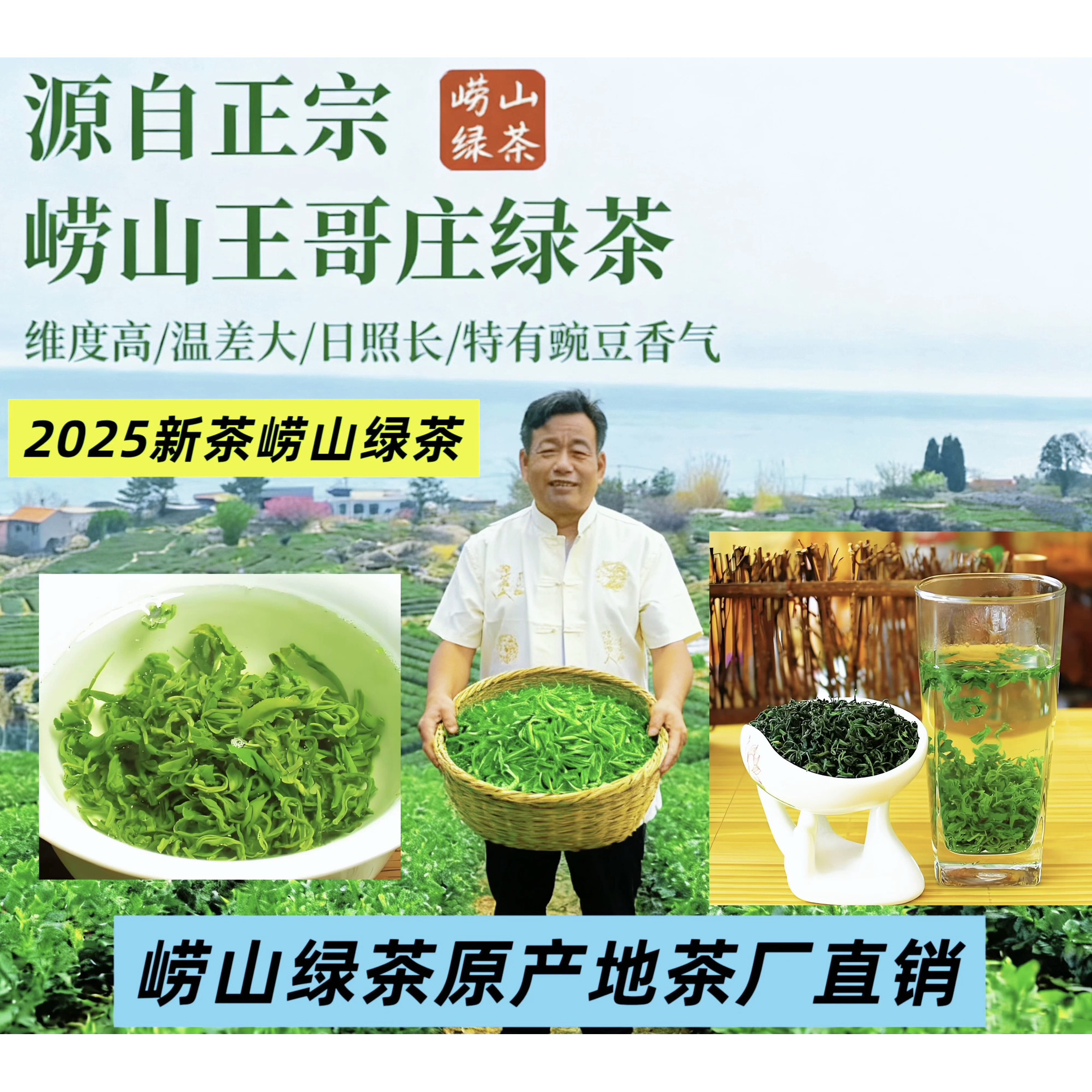 青岛特产崂山绿茶2025新茶500g口粮茶原产地豆香耐泡散装一级茶叶,茶,特色产区绿茶,淘宝优惠券,粉丝福利购,淘宝优惠卷