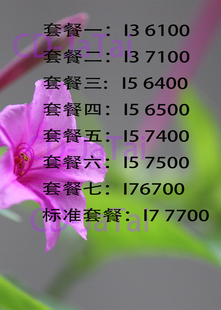 7100 7500 1151针CPU 7400 6100 6500 Inter 6400
