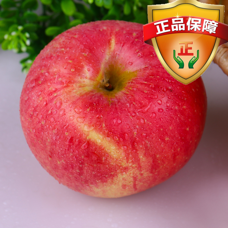 山东烟台栖霞条纹红红富士苹果5斤脆甜多汁水果好评如潮正品保障