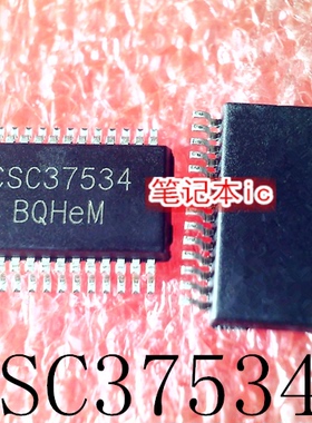 CSC37534  SSOP28  MT4LC1M16C3   MT4LC1M16C3TG-6   新的