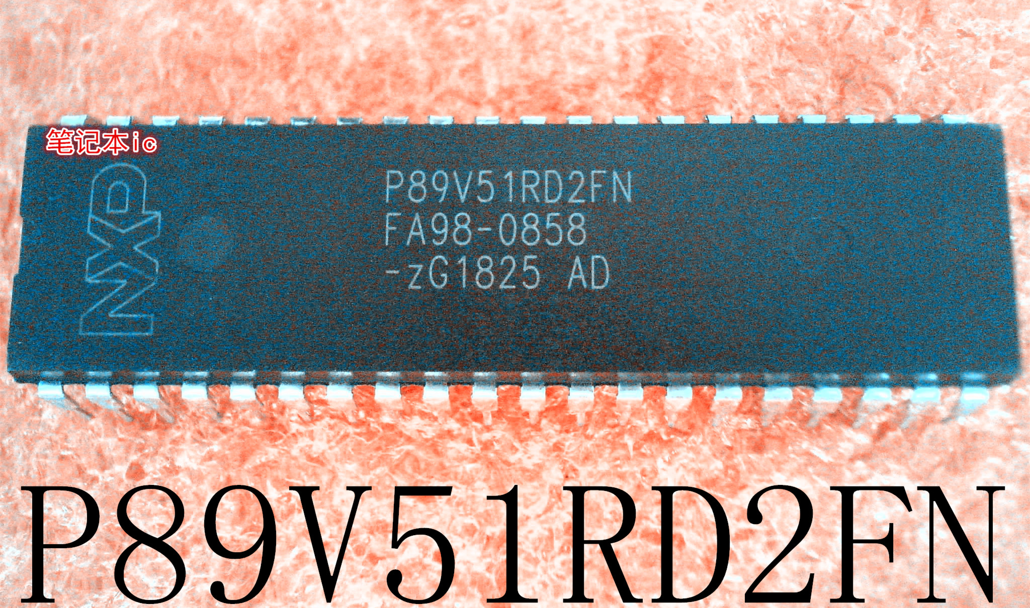 P89V51RD2FN    P89V51RO2FN    DIP封装   新的