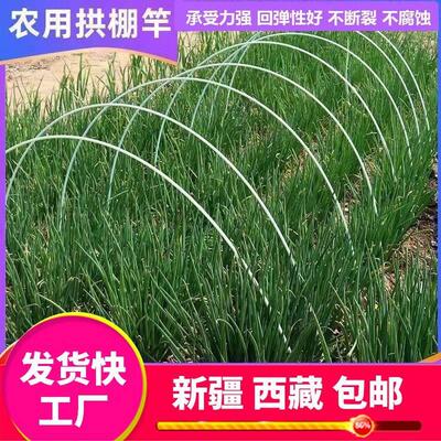 新疆西藏包邮小拱棚支架菜棚花棚保温育苗棚防晒网支架二棚支架玻