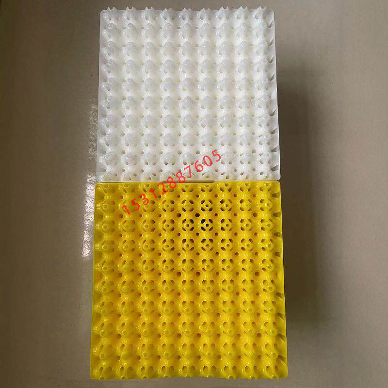 新疆西藏包邮塑料鹌鹑蛋