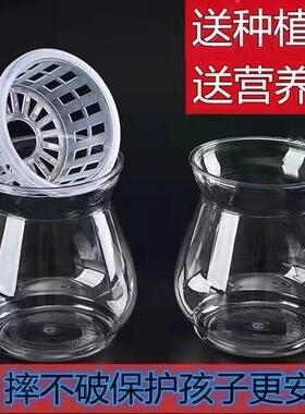 新疆西藏包邮特价创意高透明室内防摔塑料水培器皿
