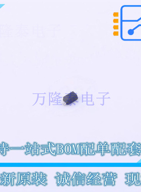 肖特基二极管 RB521G-30T2R SOD-723 ROHM 全新原装正品