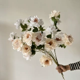 Три -голодные цветочные цветы Gardenia Иностранное пиони -симуляция цветок свадебный цветок xin xuelian свадебный зал декоративная дорога