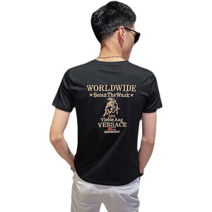 社会小伙夏季男士潮牌圆领短袖T恤衫刺绣修身打底衫C203-5233-P38图片