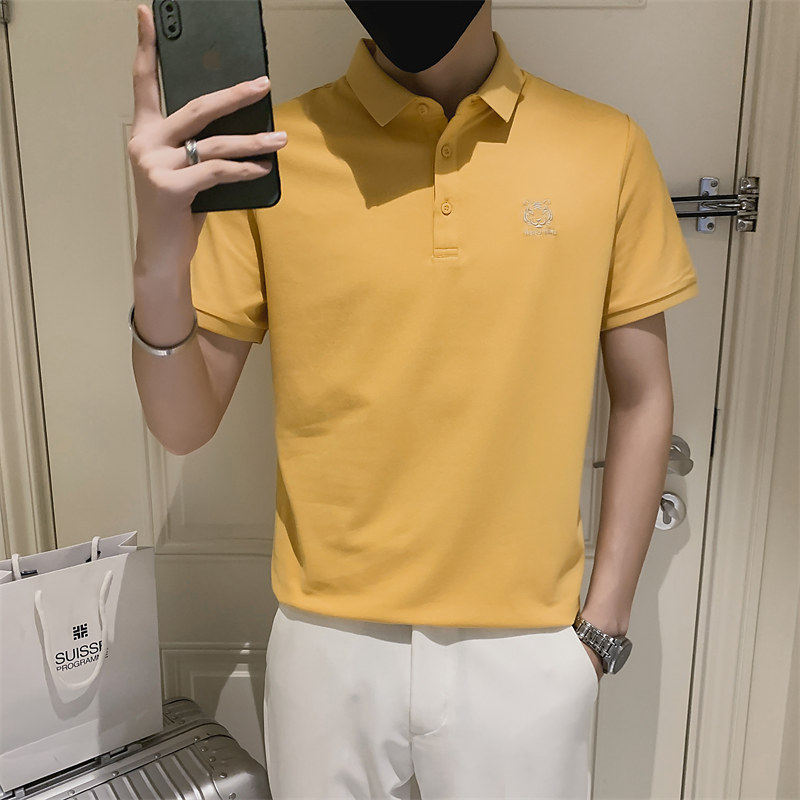 青少年夏季半袖绣花Polo衫时尚百搭男士修身短袖t恤C203-8816-P58,男装T恤,电商C208
