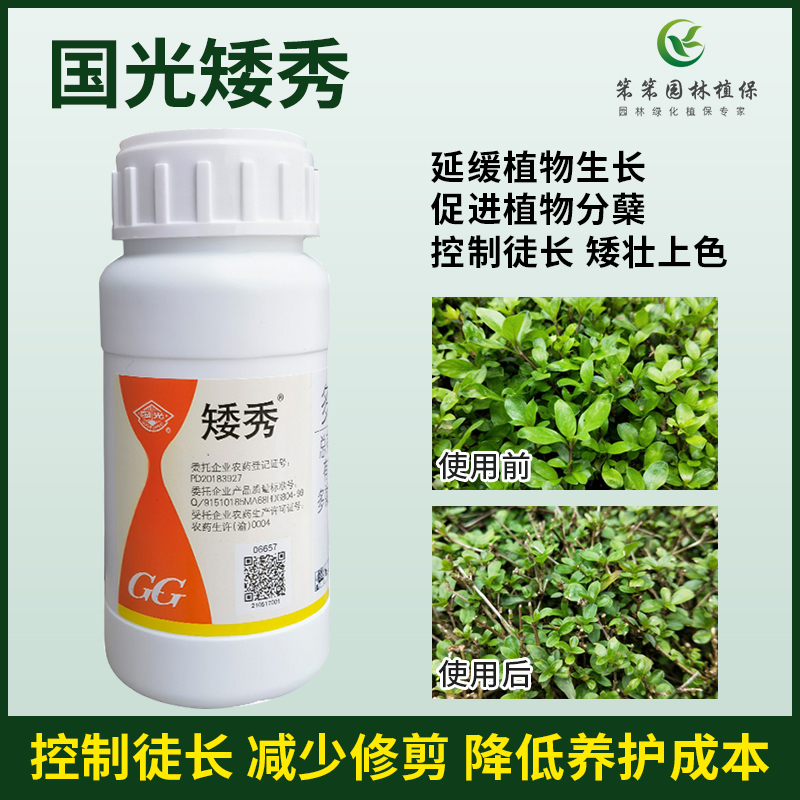 国光矮秀多效唑甲哌鎓矮壮素植物