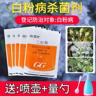 国光三唑酮月季绣球紫薇草莓白粉病专用花卉草坪梨树铁锈病杀菌剂