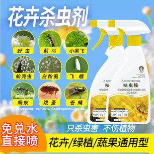 杀虫药花卉植物杀虫剂室内花除虫药剂蚜虫月季花绿植土壤小虫药