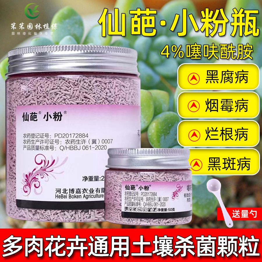 仙葩小粉瓶黑腐殺菌噻呋酰胺