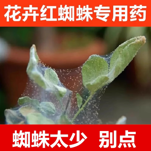 抗性红蜘蛛专用药虫卵双除