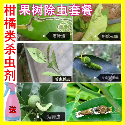 柑橘柚子树专用杀虫剂