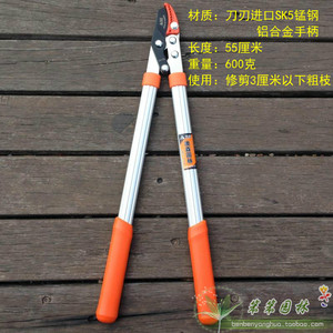台湾澳森 进口园林工具 粗树枝剪粗枝剪 大力剪果树剪刀 省力包邮
