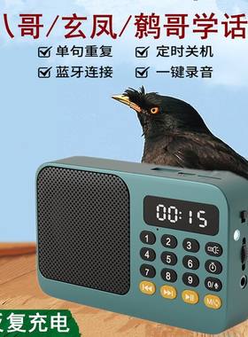 鸟用学说话鹦鹉学说话录音训练