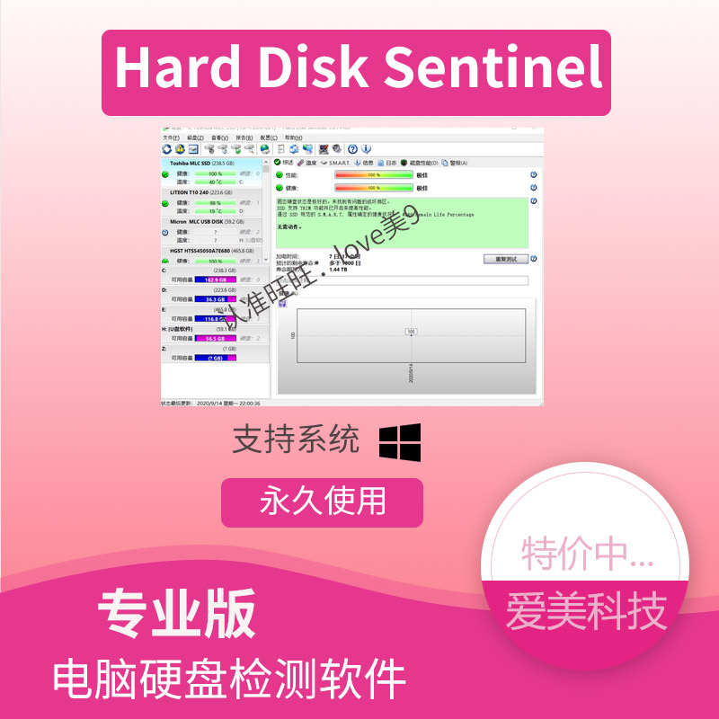 Hard Disk Sentinel Pro 6 30 Activation Edition Professional Edition Hard Disk Detection Software Tool