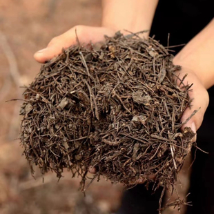 自然腐熟腐叶土松针土兰花君子兰营养土养花种菜专用土腐殖质丰富