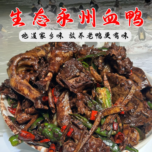 永州血鸭湖南永州特产血浆鸭土鸭